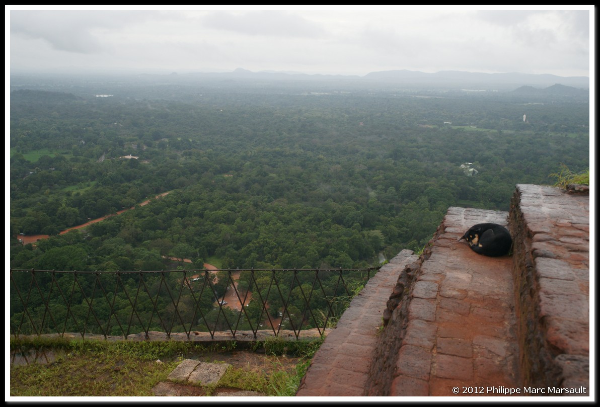 /ecran/Sri_Lanka_1250.jpg