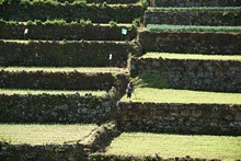 vignette Sri_Lanka_0500.jpg 