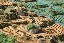 vignette Sri_Lanka_0513.jpg 