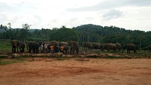 vignette Sri_Lanka_0665.jpg 