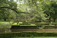 vignette Sri_Lanka_1171.jpg 