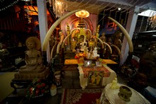 vignette Sri_Lanka_1332.jpg 