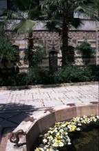 vignette Syrie_Liban_024.jpg