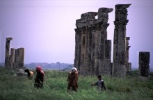 vignette Syrie_Liban_064.jpg