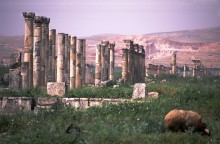 vignette Syrie_Liban_066.jpg
