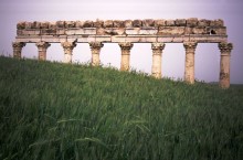 vignette Syrie_Liban_070.jpg