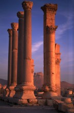 vignette Syrie_Liban_082.jpg