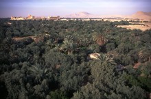 vignette Syrie_Liban_089.jpg