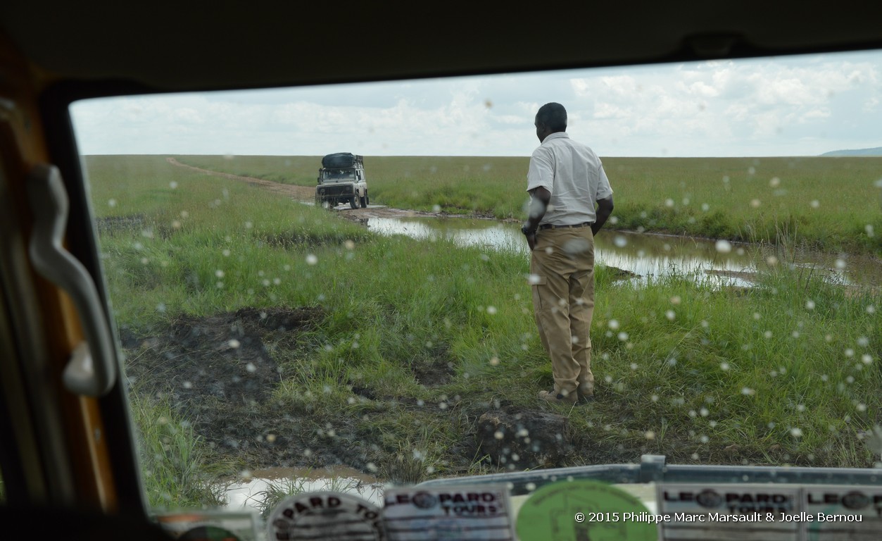 /ecran/Tanzanie_2015_0356.jpg