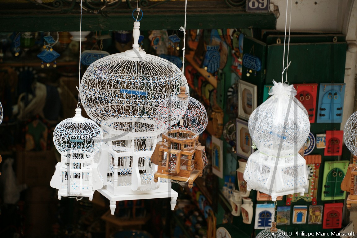 /ecran/Tunisie_0090.jpg