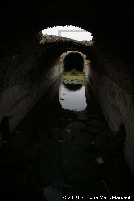 /ecran/Tunisie_0208.jpg