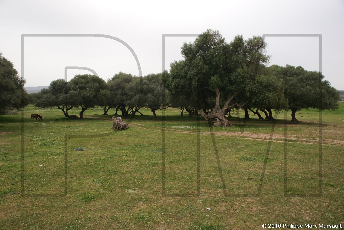 /ecran/Tunisie_0278.jpg