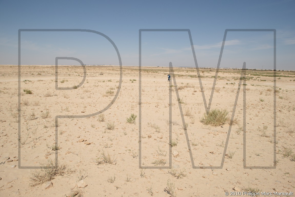 /ecran/Tunisie_0698.jpg