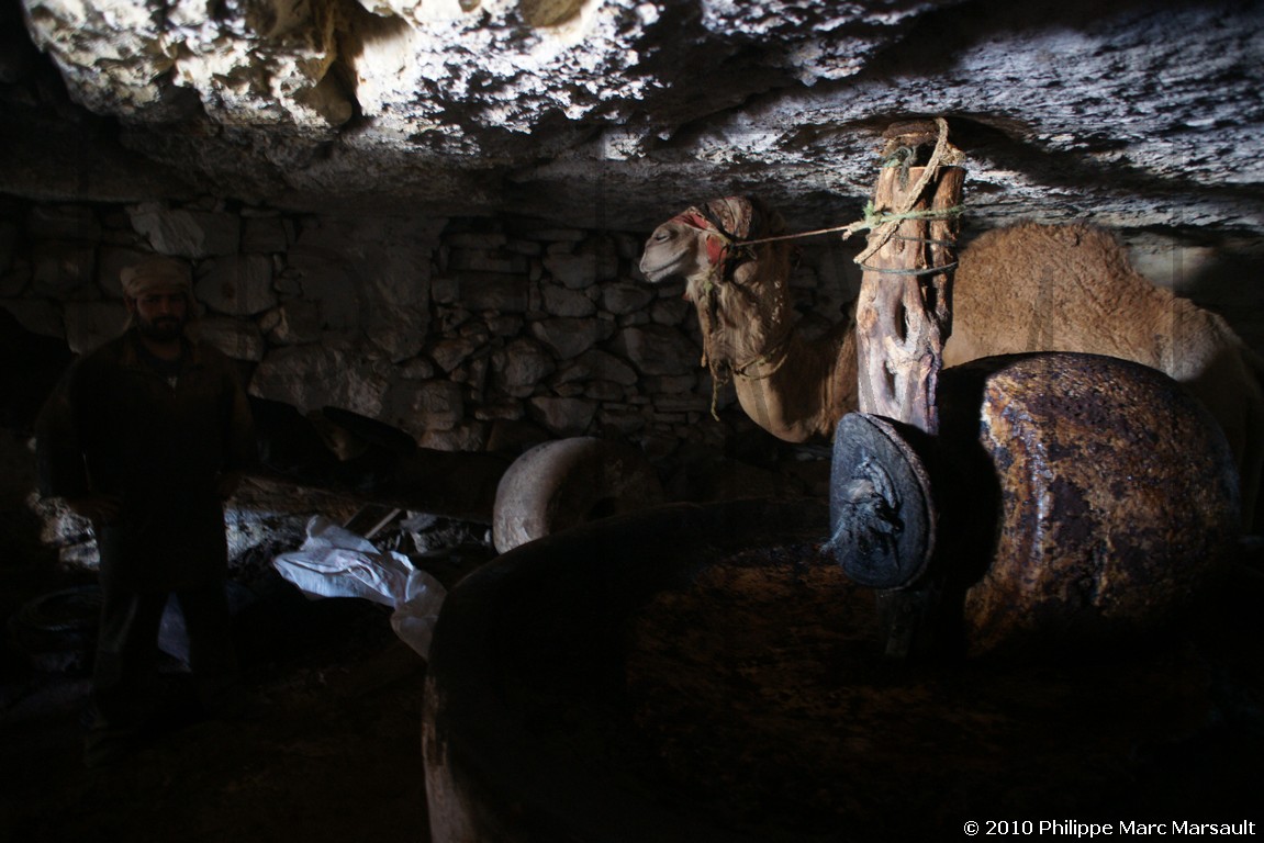 /ecran/Tunisie_0794.jpg