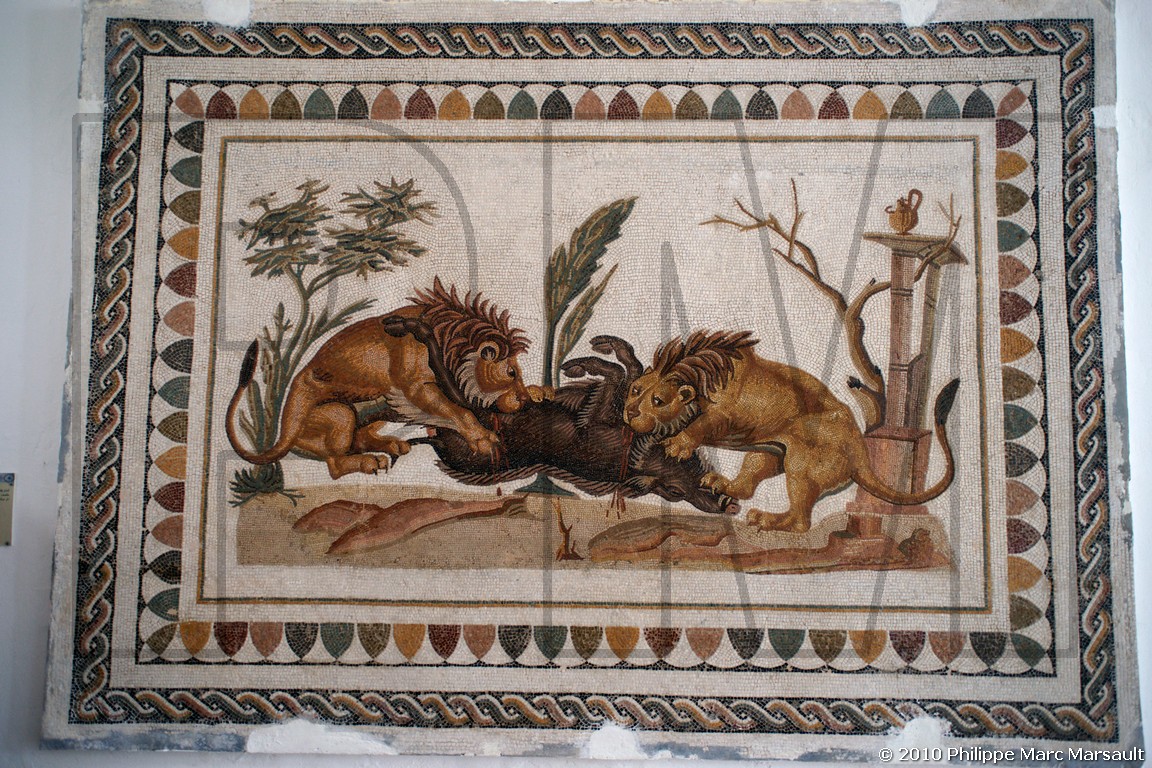 /ecran/Tunisie_0905.jpg