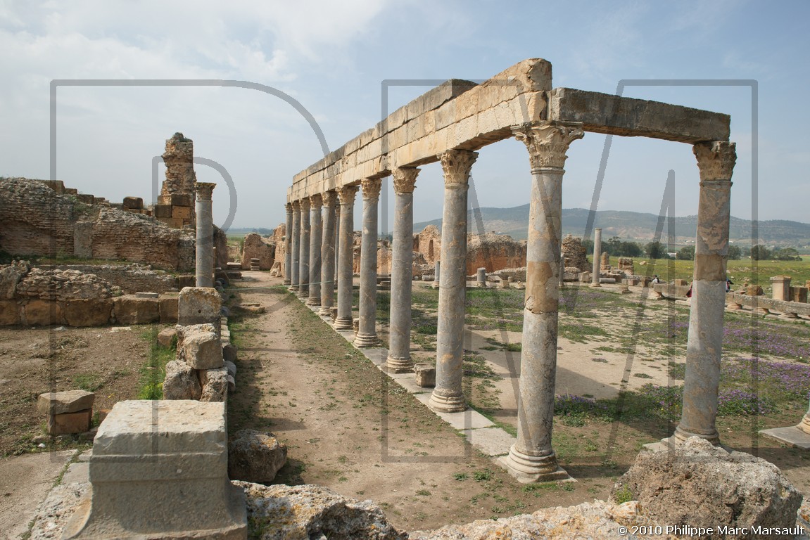 /ecran/Tunisie_1019.jpg