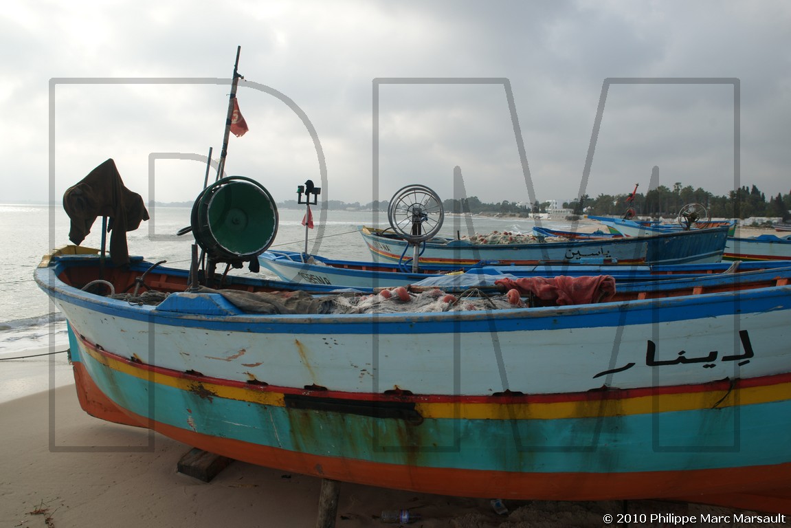/ecran/Tunisie_1053.jpg