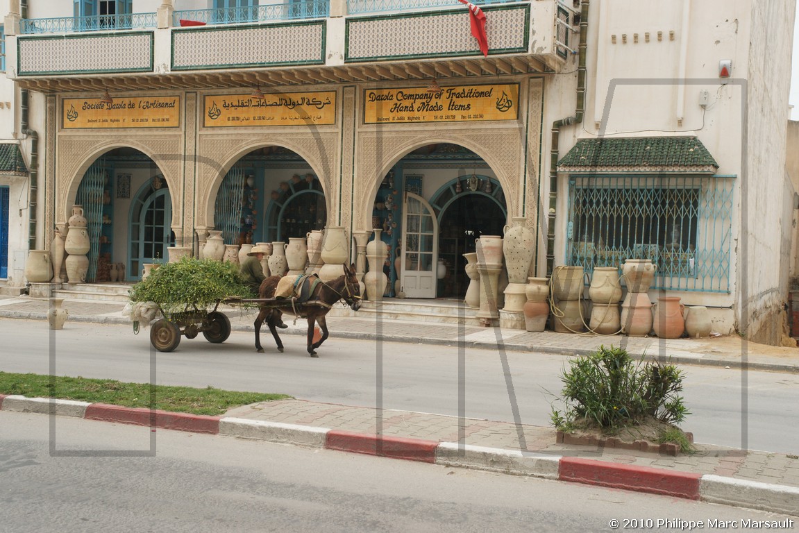 /ecran/Tunisie_1064.jpg