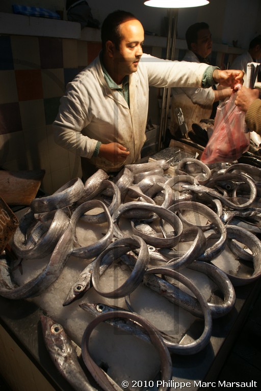 /ecran/Tunisie_1144.jpg