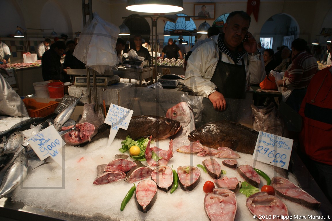 /ecran/Tunisie_1146.jpg
