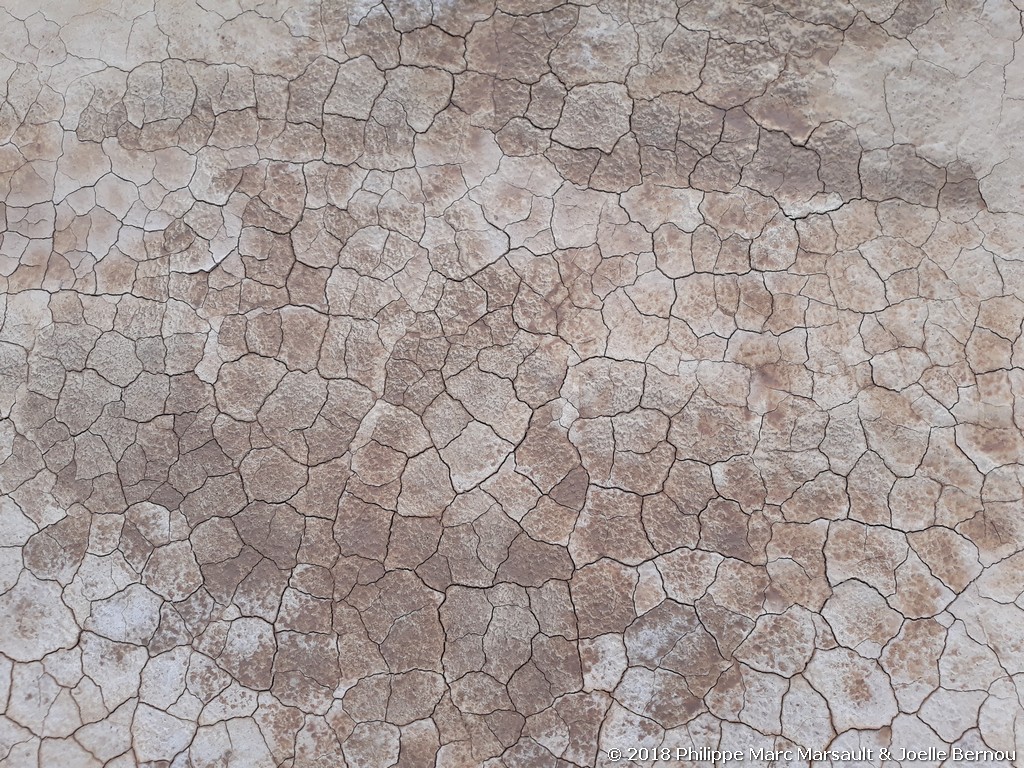 /ecran/Turkmenistan_2018_0512.jpg