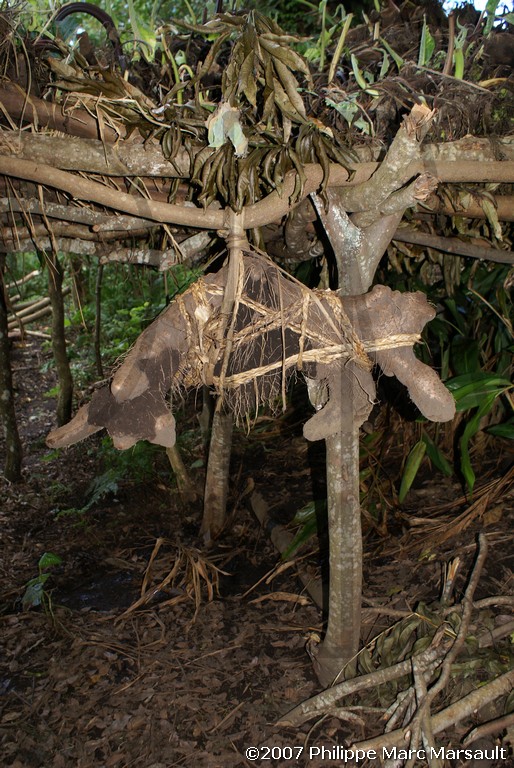 /ecran/Vanuatu_512.jpg