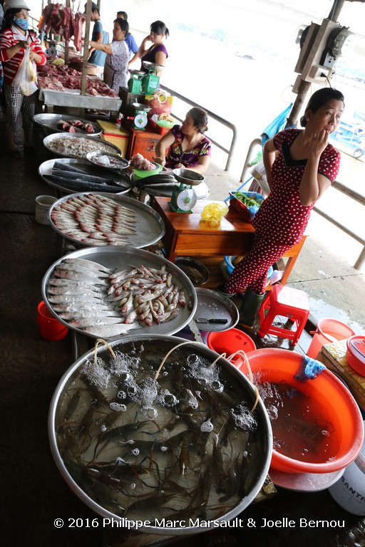 /ecran/Vietnam_2016_0439.jpg