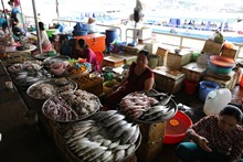 vignette Vietnam_2016_0432.jpg 