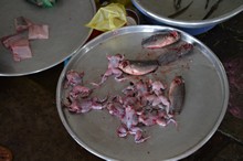 vignette Vietnam_2016_0437.jpg 