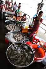 vignette Vietnam_2016_0439.jpg 