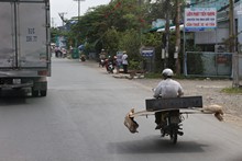 vignette Vietnam_2016_0474.jpg 