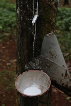 vignette Vietnam_2016_0585.jpg