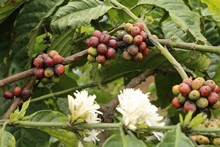 vignette Vietnam_2016_0639.jpg