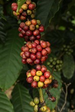 vignette Vietnam_2016_0654.jpg