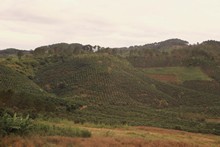 vignette Vietnam_2016_0655.jpg
