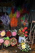 vignette Vietnam_2016_0664.jpg