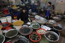 vignette Vietnam_2016_0665.jpg