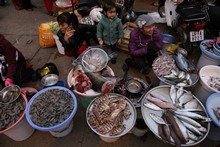 vignette Vietnam_2016_0671.jpg