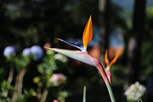 vignette Vietnam_2016_0715.jpg