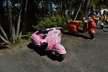 vignette Vietnam_2016_0743.jpg