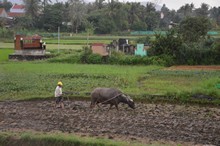 vignette Vietnam_2016_0932.jpg