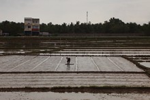 vignette Vietnam_2016_0960.jpg