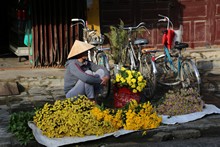 vignette Vietnam_2016_1148.jpg