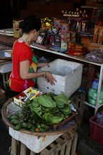 vignette Vietnam_2016_1149.jpg