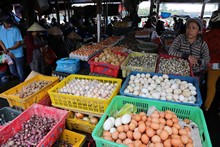 vignette Vietnam_2016_1267.jpg