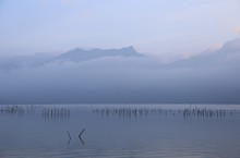 vignette Vietnam_2016_1432.jpg