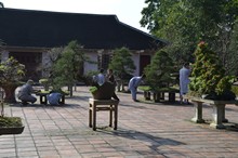vignette Vietnam_2016_1647.jpg
