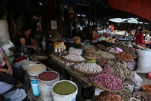 vignette Vietnam_2016_1688.jpg