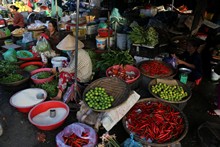 vignette Vietnam_2016_1692.jpg