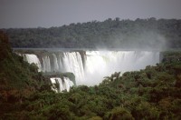 vignette argentine_064.jpg 